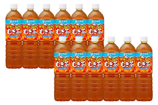 健康ミネラルむぎ茶 伊藤園 ＜1L×12本＞【2ケース】1回のみ|10_itn-352401