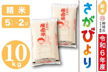 【令和6年産 新米】さがびより 精米 5kg×2【米 5kg×2 お米 コメ おいしい ランキング 人気 国産 ブランド 地元農家】(H061346)