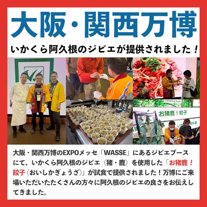 阿久根産鹿肉スライス(計1.2kg・300g×4パック)煮込み料理 バーベキュー BBQ スライス肉 ジビエ しか肉 もみじ もみじ鍋 低カロリー 高たんぱく ダイエット 鉄分 山の幸【一般社団法人いかくら阿久根】akn076-05