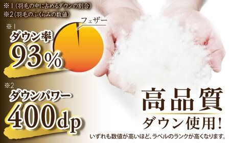 【年内発送】【訳あり】【 糸島 羽毛 ふとん 】羽毛 布団 柄おまかせ ダウン93％【シングル】糸島市 / 株式会社三樹  [AYM008] 羽毛 布団 ふとん 掛け布団 掛けふとん シングル 訳あり 日本製 羽毛布団