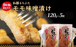 和豚 もちぶた モモ 味噌漬け 120g×5枚 もち豚 豚肉 ポーク お肉 肉 豚 ぶた ブタ もも肉 精肉 加工肉 アウトドア