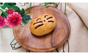 1141.【定期便6ヶ月】鳥取県産 人気キャラクターパン 自家製チョコカスタードパン ららちゃんのチョコクリーム 5個×6回 313726_BD022