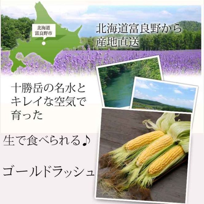 【2026年夏発送】生で食べられる！とうもろこし 富良野産 ゴールドラッシュ 5本 とうきび 野菜