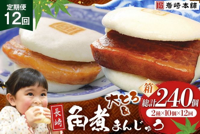 BJ078 岩崎本舗 【12回定期便】長崎角煮まんじゅう 10個入・大とろ角煮まんじゅう 10個入 (箱) [長崎県 島原市]