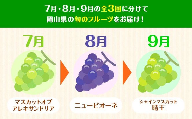【2026年先行予約】【3回定期便】ぶどう 定期便 計3回コース 岡山県産 シャインマスカット 晴王 ニューピオーネ マスカットオブアレキサンドリア 化粧箱入り 株式会社山博《2026年7月上旬-9月末頃出荷》岡山県 笠岡市 フルーツ 果物 定期 ぶどう マスカット【配送不可地域あり】---Y-40a---