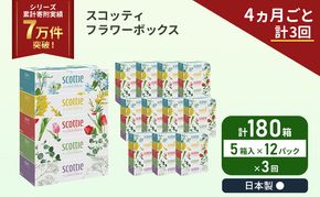 定期便 ティッシュ スコッティ フラワーボックス 180箱 ( 5箱 × 12パック )《 4ヶ月ごと 計  3回 》 
