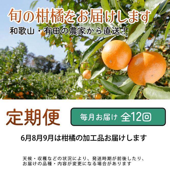 【定期便】厳選 柑橘定期便 M 12回（毎月）※北海道・沖縄・離島への配送不可※毎月発送