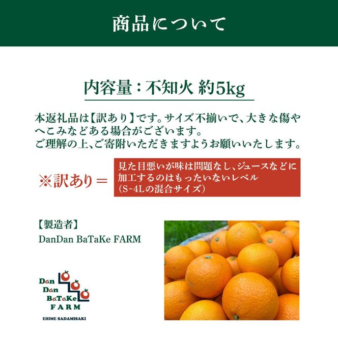 【先行予約】【訳あり】不知火 約5kg　※2027年2月下旬より順次発送予定 IKTAU016