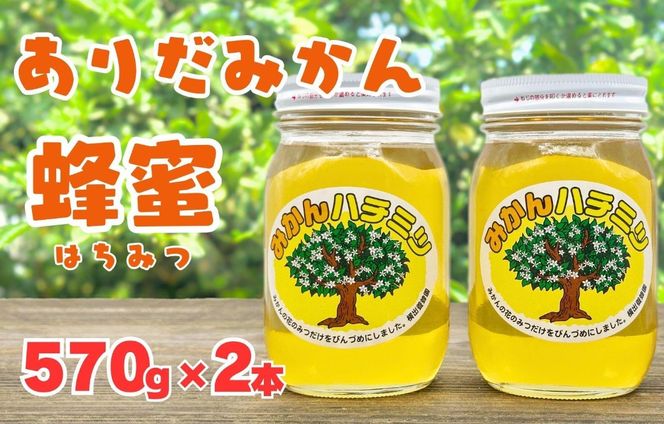 ありだみかん蜂蜜 2本セット（570ｇ×２本） BC03