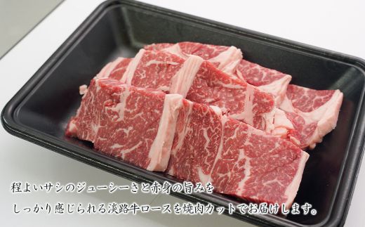 淡路牛ロース焼肉 500g（250g×2PC）　　[冷凍 霜降り 焼肉セット]