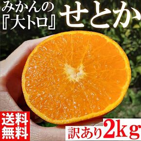 みかん の大トロ せとか 約2kg S～LLサイズ混合 訳あり ブランド 和歌山 有田 みかん 農家直送 オレンジ フルーツ 果物 CE057