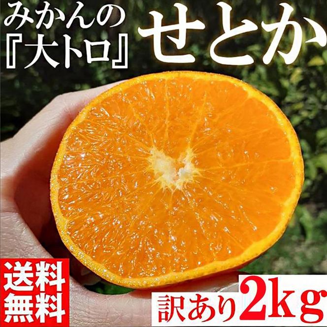 せとか  みかんの大トロ 約2kg 訳あり ブランド 和歌山 有田 みかん 農家直送 オレンジ フルーツ 果物 CE057