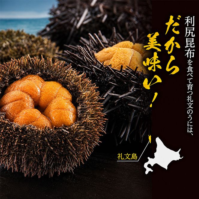 北海道 礼文島産 採れたて 生うに 塩水パック 豪華食べ比べ 200g(バフン・ムラサキ 100g×各1) ミョウバン不使用［株式会社やまじょう］【 うに ウニ 雲丹 生うに 塩水うに バフンウニ ムラサキウニ 】
