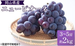2026年 早期受付 ぶどう 晴れの国 ピオーネ 2kg（3～5房）化粧箱入り 岡山県 高梁市 ブドウ 葡萄 果物 フルーツ
