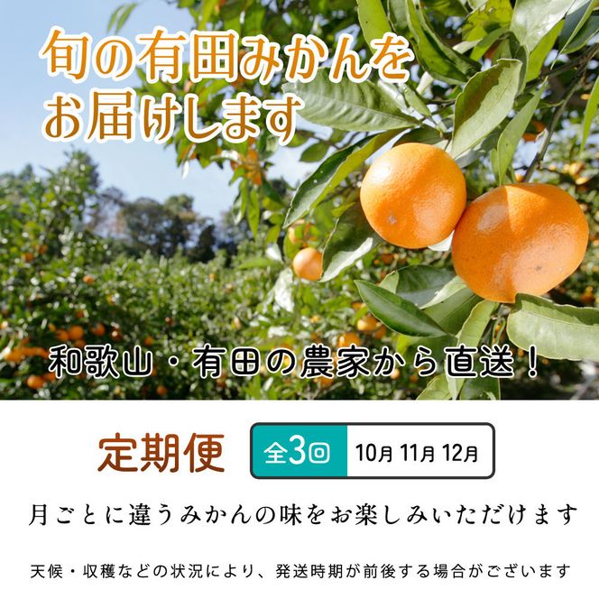 家庭用 柑橘定期便SS（10～12月）全3回【みかん定期便お試し版】 ［IKE299］ 303446_BB90208