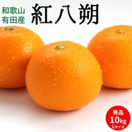 U6226n_【2027年先行予約】紅八朔 秀品 約10kg Lサイズ 和歌山県有田産