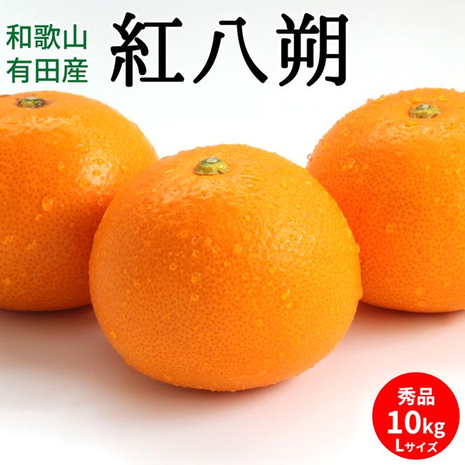 U6226n_【2027年先行予約】紅八朔 秀品 約10kg Lサイズ 和歌山県有田産