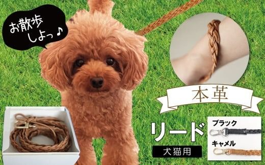 職人手作りの【本革】犬猫用リード 編み込みレザー ペット 愛犬