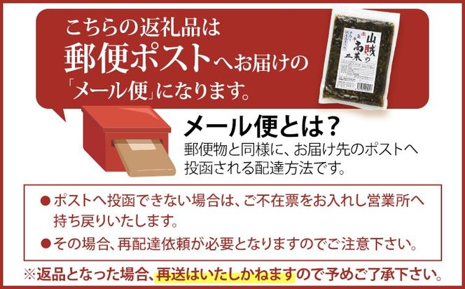 辛子高菜 240g×2パック（480g） 山賊の高菜 からし高菜 メール便 ポッキリ お米に合う ご飯のお供 おつまみ 国産 無添加 お取り寄せ 福岡 お土産 九州 グルメ 福岡県