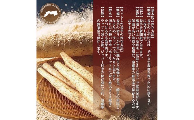 1112.砂丘ながいも1kg 313726_CL001