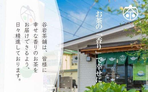 茶 煎茶 白折 100g×1袋 [谷岩茶舗 宮崎県 日向市 452061613] お茶 緑茶 茶葉 深蒸し 茎茶 アミノ酸 簡易包装 緑茶