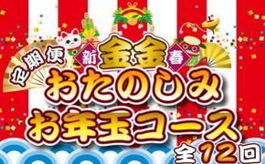 【定期便・全12回】新春おたのしみ お年玉コース 金金（牛肉 豚肉 鶏肉 フルーツ 2026 スイーツ 先行予約 定期便 宮崎 小林市）