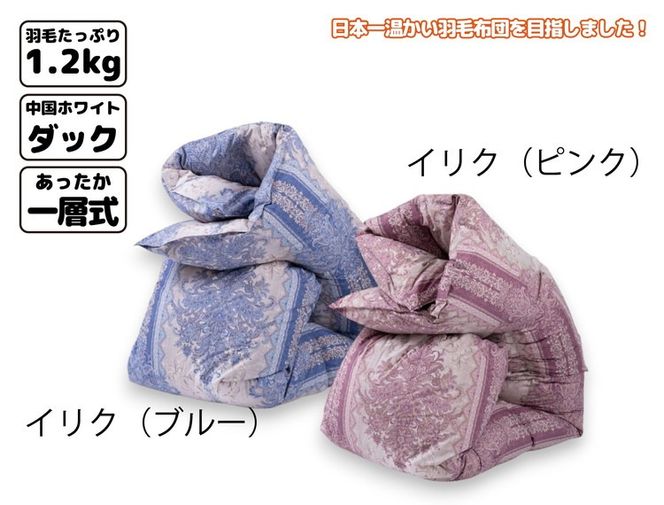 櫻道富士山羽毛 合掛け【1合目】