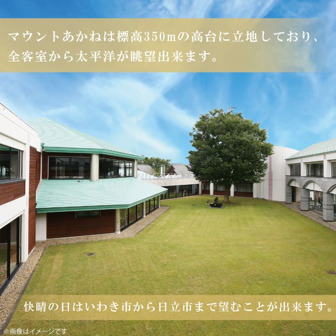 客室から太平洋が一望できる！公共の宿マウントあかね【1名様1泊2食ご宿泊券】★和室8畳またはツイン★(AB201)