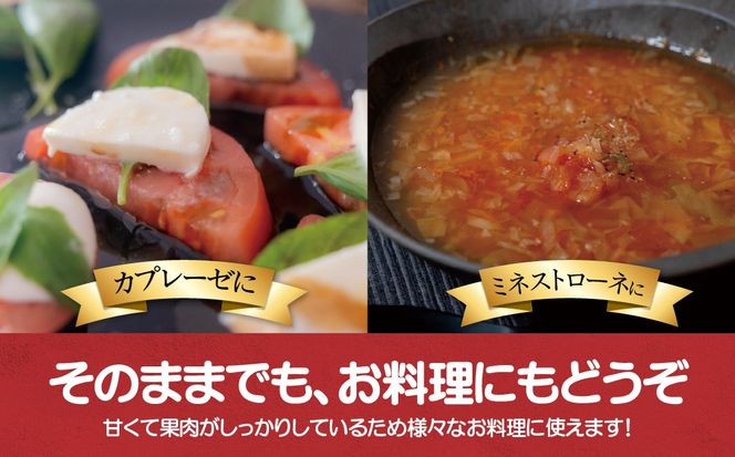 【先行予約/2026年6月以降発送】【家庭用】ニシパの恋人「びらとりトマト」秀品 1箱 約4kg（20～24個 満詰め） BRTO001