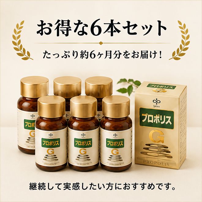 プロポリスゴールド6本セット 加工食品 