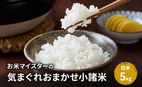 【古久庄 村松商店】お⽶マイスターの気まぐれお任せ小諸米（5kg）信州 長野 ごはん ご飯 コメ コシヒカリ あきたこまち つきあかり 風さやか ひとめぼれ ゆうだい24 ブレンド米