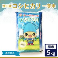 滑川産コシヒカリ（精米5kg）【通年発送】[A-007005]