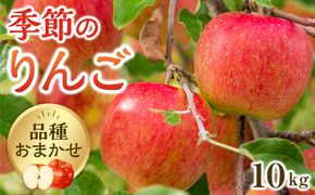 【品種はおまかせ】季節のりんご 10kg箱 ※2026年10月上旬～10月下旬頃に順次発送予定 313726_AG001