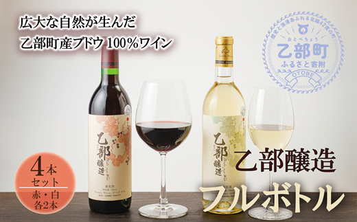 ykCzC@ԁE4{Zbge720ml×e2{ kC Y YC kCYuhE ݔ ԃC C xCi[ GI Hokkaido F胏C