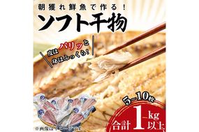 朝獲れ鮮魚で作る！魚屋さんの自家製ソフト干物！合計1kg以上(5～10枚)アジ イワシ カマス イカ タイ ブリカマ セット 詰め合わせ ひもの 焼き魚 おかず お惣菜【YS-3】【株式会社安田】