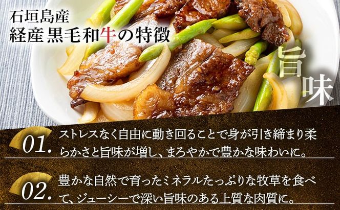 石垣島産経産黒毛和牛 焼肉セット【真空パック】 計 500g NA-01