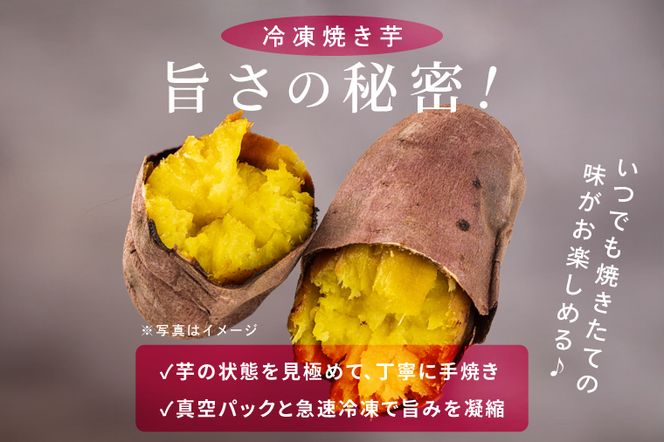 冷凍焼き芋 『Sea Sweet』 2.5kg 品種おまかせ詰め合わせ  3～5種類 詰合せ【 紅はるか / きみまろこ / 紫いも / 紅まさり / 紅あずま / 栗かぐや 】 真空パック 個包装 冷凍 焼き芋 さつまいも やきいも スイーツ 産地直送