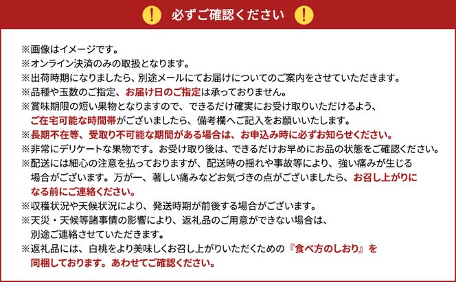 桃 2026年 先行予約 岡山県産 おかやま夢白桃 贈答用 1.5kg(4～6玉)　朝採れ　農家直送　限定20箱