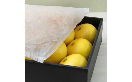 【先行予約】秀品 ☆高知産 土佐文旦☆ 3L 3玉入【贈答用】〈2027年1月下旬頃より順次発送〉/ 柑橘 フルーツ 先行予約 ぶんたん ブンタン 果物 お取り寄せ【TAMURAKAJUEN】