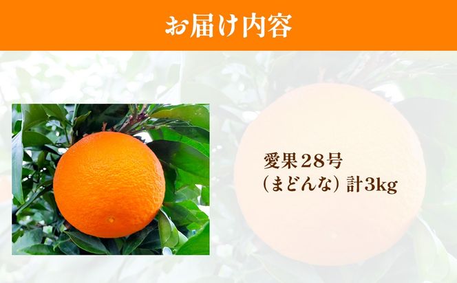 【先行予約】【数量限定】浅野農園の愛果28号（まどんな）特選計3kg ※離島への配送不可（2026年12月中旬～2027年1月中旬頃に順次発送予定）IKTAC023