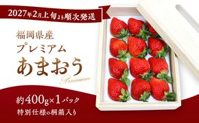 あまおう 【2027年2月上旬より順次発送】ティッシュボックス用 特別仕様の桐箱入り プレミアムあまおう 約400g×1パック 【ギフト・お祝い・贈答用】 イチゴ 苺 いちご 果物 福岡県産 ※配送不可:離島