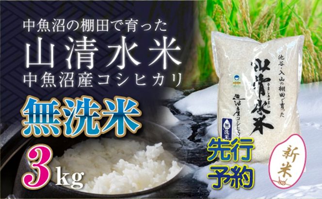 【令和8年産 先行予約】新潟県魚沼産コシヒカリ「山清水米」無洗米3kg