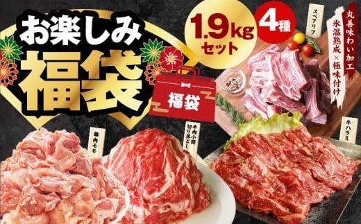 mrz0221 肉福袋 4種 1.9kg 焼肉セット(牛肉 切り落とし/牛ハラミ/豚肉 スペアリブ/鶏肉)[氷温熟成×極味付け 焼くだけ 食べ比べ ふくぶくろ お楽しみ 簡単調理]
