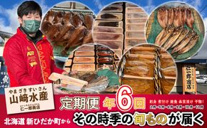 ＜定期便6回＞北海道産 旬の魚介4～5種 お楽しみ定期便