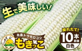 【先行予約】 糸島 トウモロコシ 『もきっこ』 白 （ 10本前後） 【2026年6月下旬以降順次発送】《糸島》 【内田農業】 [AZH002] とうもろこし 野菜 コーン スイートコーン BBQ バーベキュー