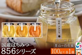 856シリーズ 国産 アカシヤ・トチ・里山 100g 各1個 山のはちみつ屋 [はちみつ ハチミツ 蜂蜜 栃 とち アカシア]|02_bsk-190101