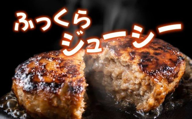 《数量限定》佐賀牛入りハンバーグ 【120g×8個】