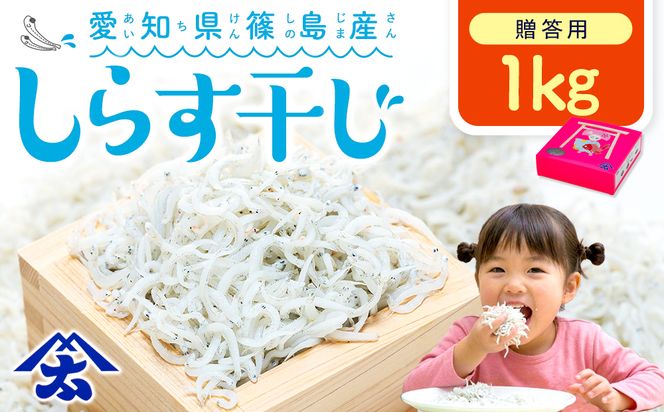 【スピード発送】＜篠島産＞ しらす干し1kg シラス 南知多産 愛知