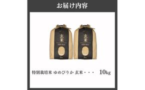 【特別栽培米】令和7年産 滝川産ゆめぴりか【玄米】10kg 特A ブランド米 北海道 | 米 こめ お米 単一米