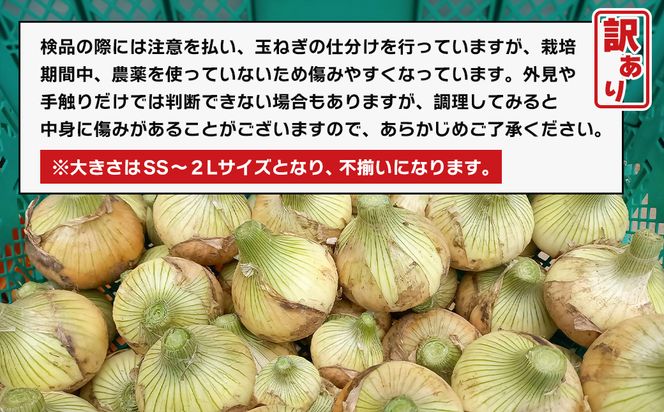 淡路島産 新玉ねぎ 10kg【栽培期間中、無農薬栽培】【訳あり】サイズ混合SS～2L